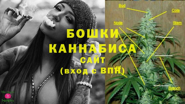ешки Заводоуковск