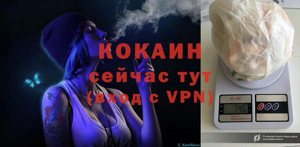 ешки Заводоуковск