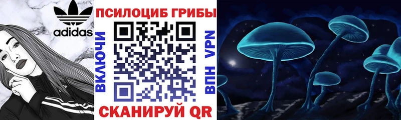 Купить где  Лобня  Псилоцибиновые грибы мухоморы 